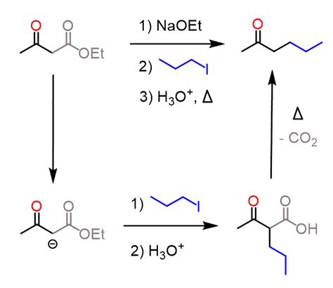acetoacetic ester synthesis pdf