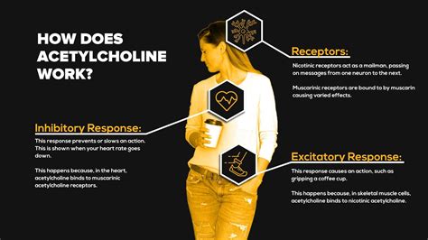 acetylcholine benefits