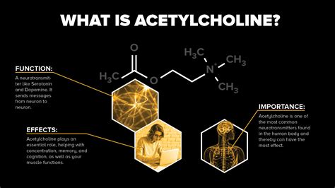 acetylcholine deficiency effects