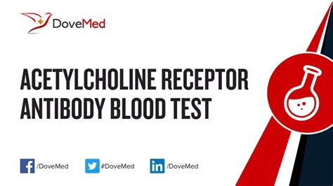 acetylcholine receptor antibody blood test