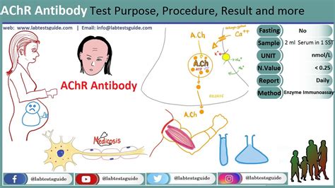 acetylcholine receptor antibody treatment