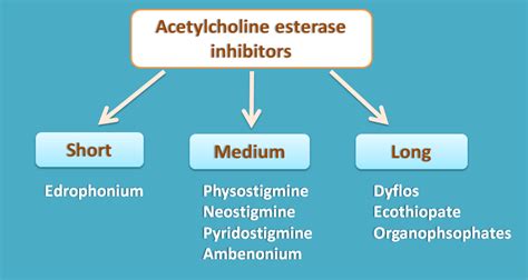 acetylcholinesterase inhibitors drugs