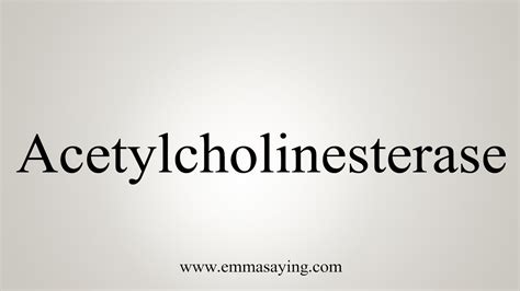 acetylcholinesterase pronunciation