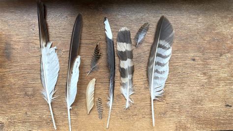 Styloplume Diplomat Aero orange 14 carats