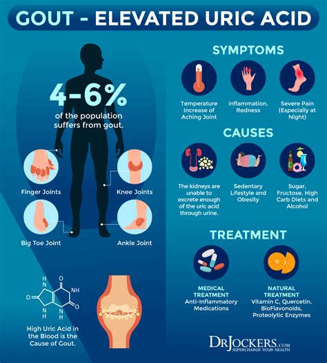 Acid Causes Gout