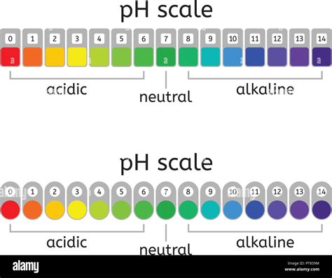 Acidic Basic Or Neutral Ph Scale