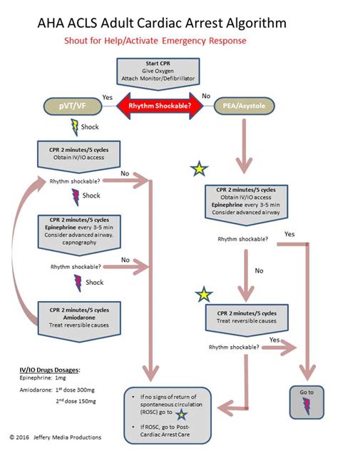 acls algorithms asystole