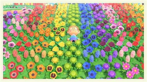 ACNH rainbow flower field Animal crossing qr, Rainbow flowers, Flower