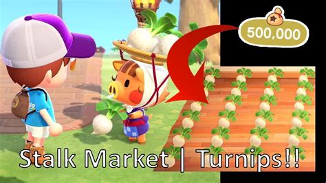 Acnh Turnip Cheat