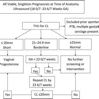 acog cervical length guidelines