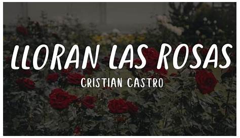 Choram as Rosas (Lloran las Rosas) - YouTube