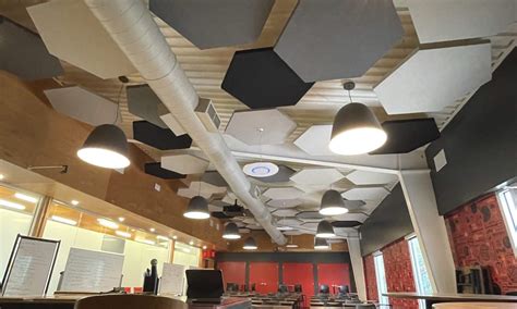 Acoustic Ceiling Cloud