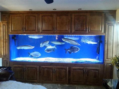 acrylic aquarium tanks for sale