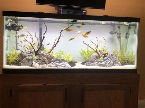 acrylic fish tank 75 gallons for sale