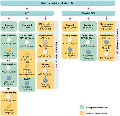 Acs Guidelines Canada