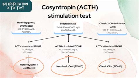 acth stimulation test