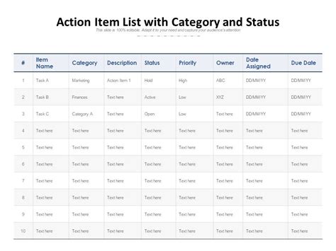 Action Item Categories