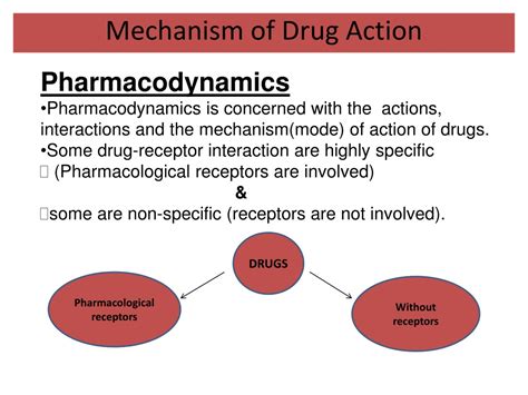 action of drug on body is called