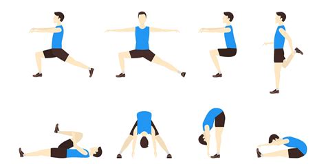 active and dynamic stretching utilize which physiological action