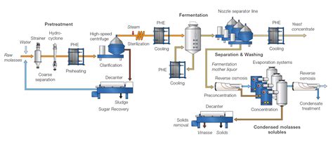 Active Dry Yeast Production Process