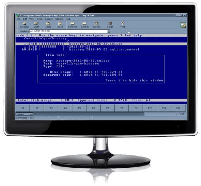 Activex Emulator