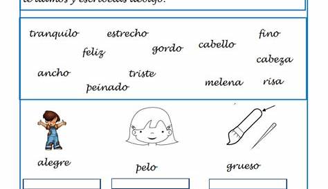 Fichas de lengua segundo primaria
