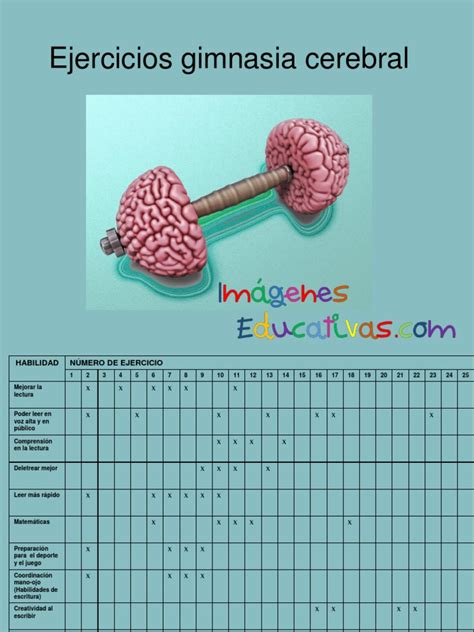actividades de gimnasia cerebral pdf