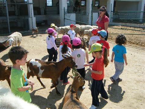 actividades para una granja escuela