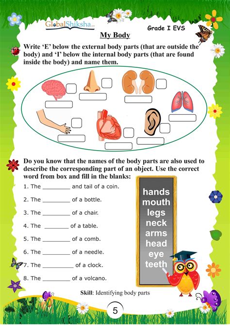 activities of evs for class 3