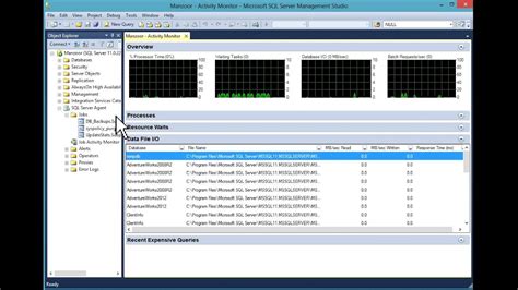 activity monitor sql server management studio