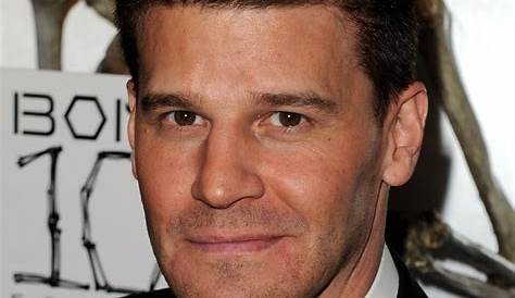 Unveiling The Extraordinary Journey Of David Boreanaz: Discoveries And Insights