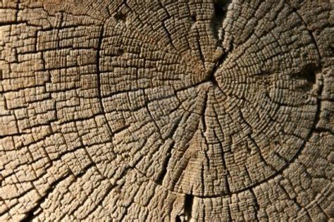 Actual Texture Examples In Art