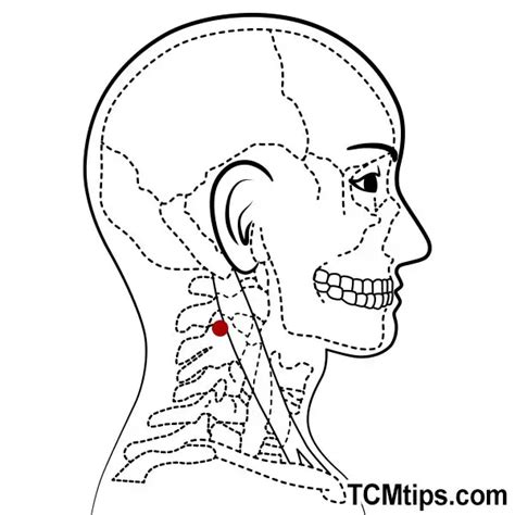 Relieve Neck Pain with Effective Acupressure Points for Cervical