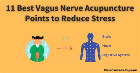 Acupuncture Helps Nerve