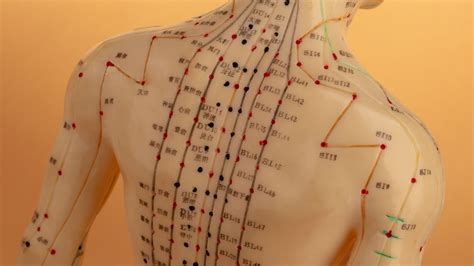 acupuncture points for qi deficiency