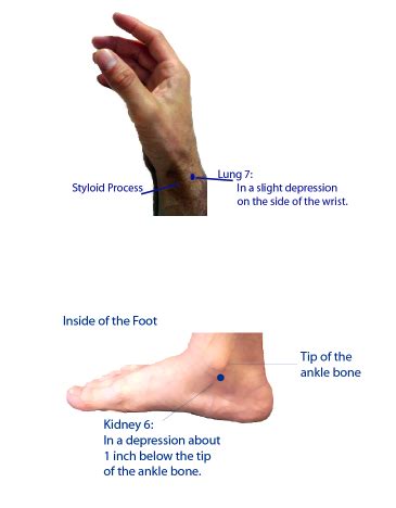 Acupuncture Points Used For Copd