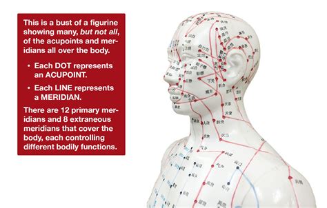 Acupuncture Qi Points