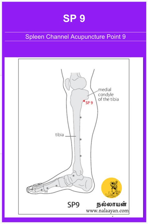 Acupuncture Real Reddit