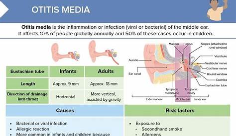 This Patient Page Describes Risk Factors For Acute Otitis Media And What To Expect At Your Child S Pediatrician Appointment Otitis Media Ear Infection Otitis