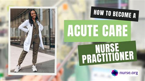 Acute Nurse Practitioner Role