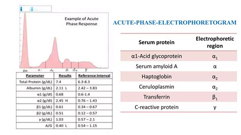 Acute Phase