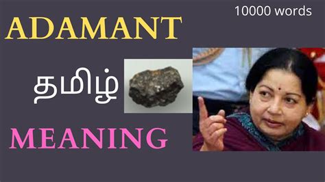 adamant meaning in tamil with example