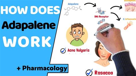 Adapalene How Quickly Does It Work