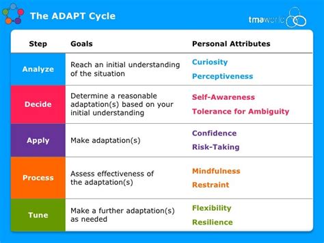 About Adapt Cycle Studie Protokoll 2023