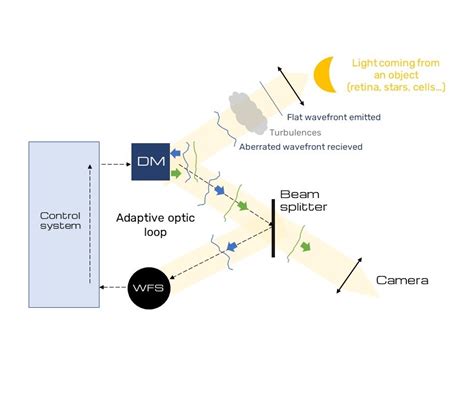 Schematic of adaptive optics scanning laser ophthalmoscopy. A spatial