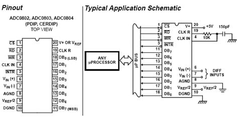Adc0804 Interfacing With 8051 Assembly Code