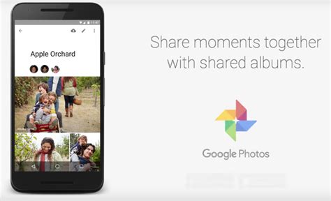 Add all photos to album google photos