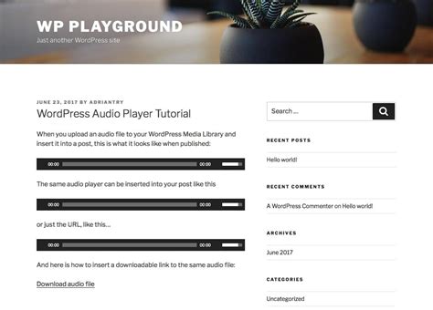 Add Audio In Wordpress Post