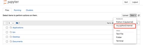 add python environment to jupyter kernel