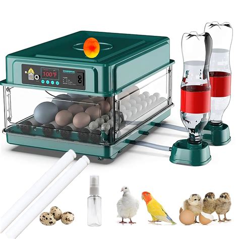 Adding Eggs To Incubator